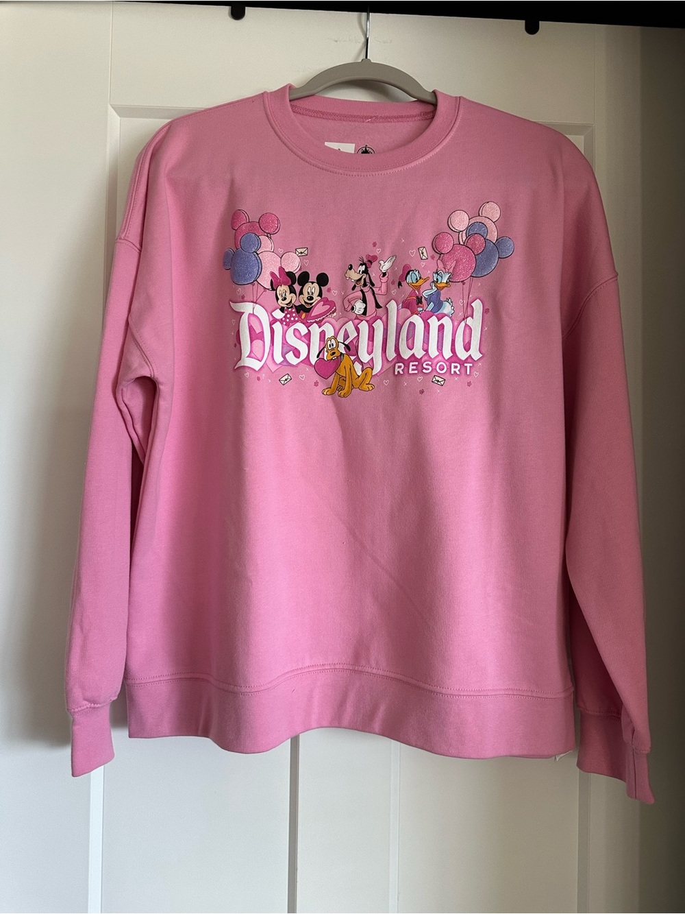 Disneyland Mickey and Friends Pullover